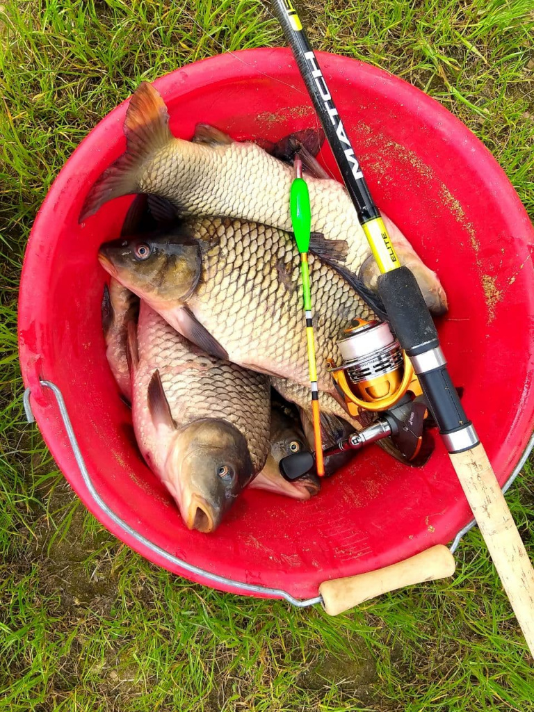 Salmo Elite Match 15 4.5 м (6).jpg